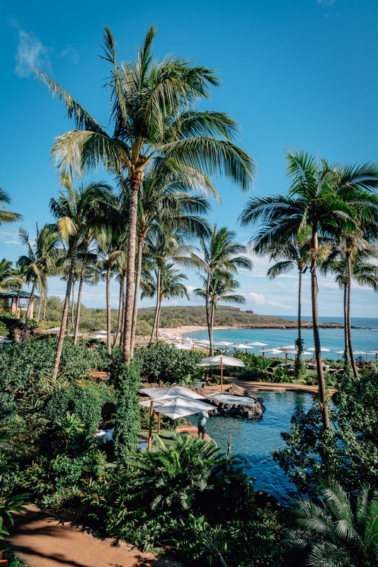 Welcome to the Four Seasons Lanai - Tall