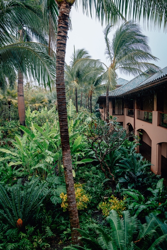 A Rainy Day on Lanai - Part II