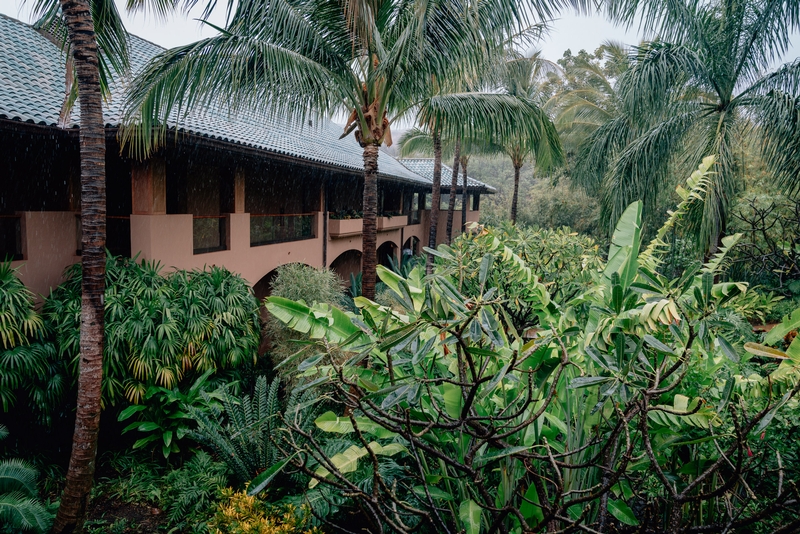 A Rainy Day on Lanai - Part IV