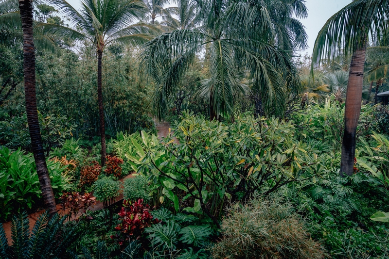 A Rainy Day on Lanai