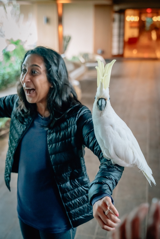 Ragini and her Birds