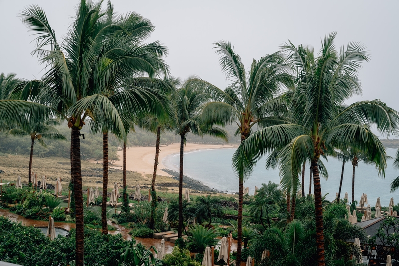 Rainy Day Resort