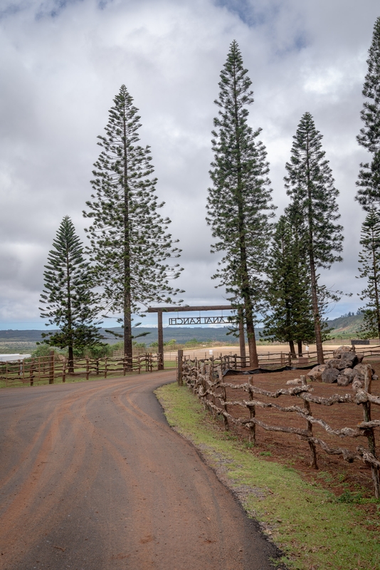 Entering the Lanai Ranch