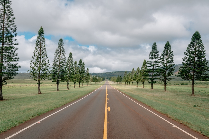 Highway 440 on Lanai - Part II