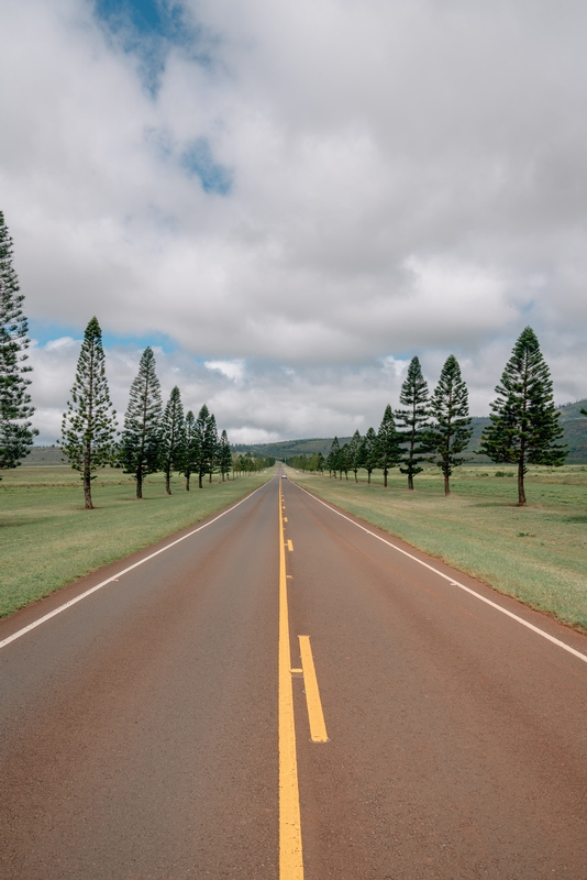 Highway 440 on Lanai Tall