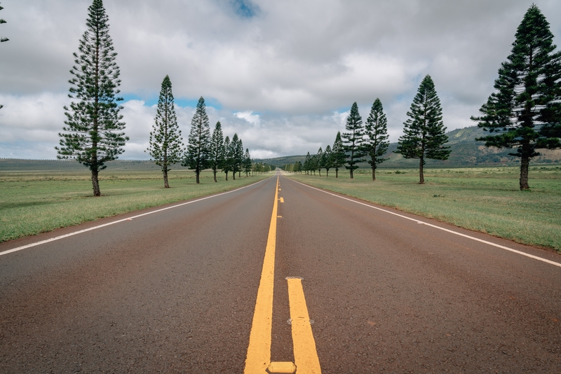 Highway 440 on Lanai