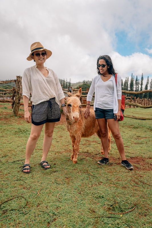 Jessica and Ragini Hanging with the Donkey