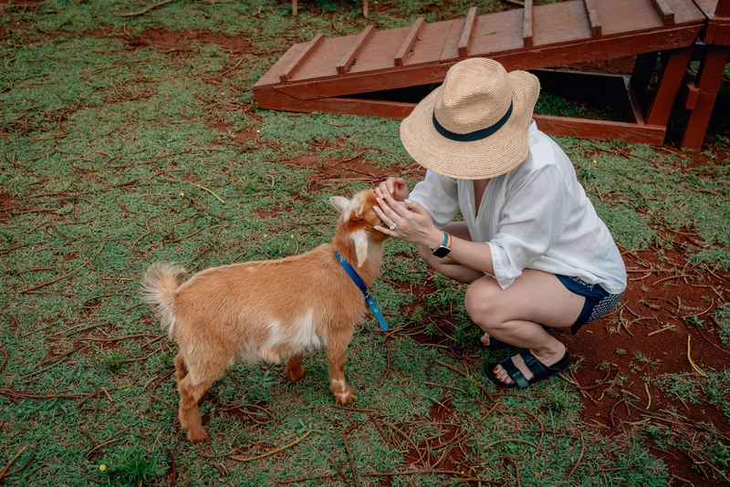 Jessica and the Baby GOAT