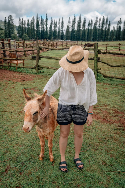 Jessica and the Miniature Donkey