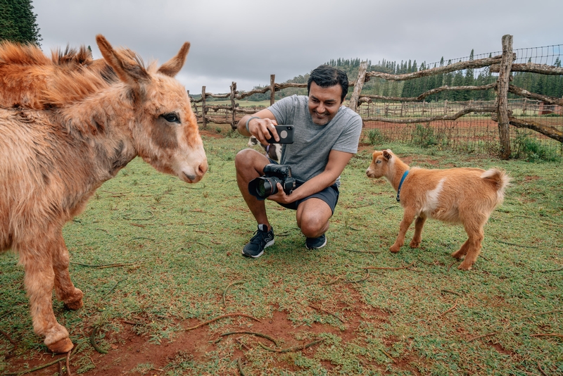 Moki and the Goats