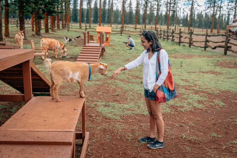 Ragini and a Baby GOAT