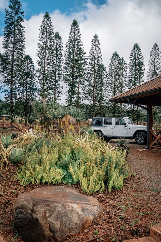 Stopped at the Lanai Ranch