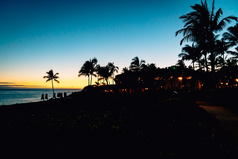 The Trees at Sunset over Lanai Part II