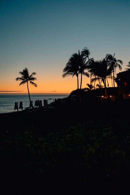 The Trees at Sunset over Lanai Part III