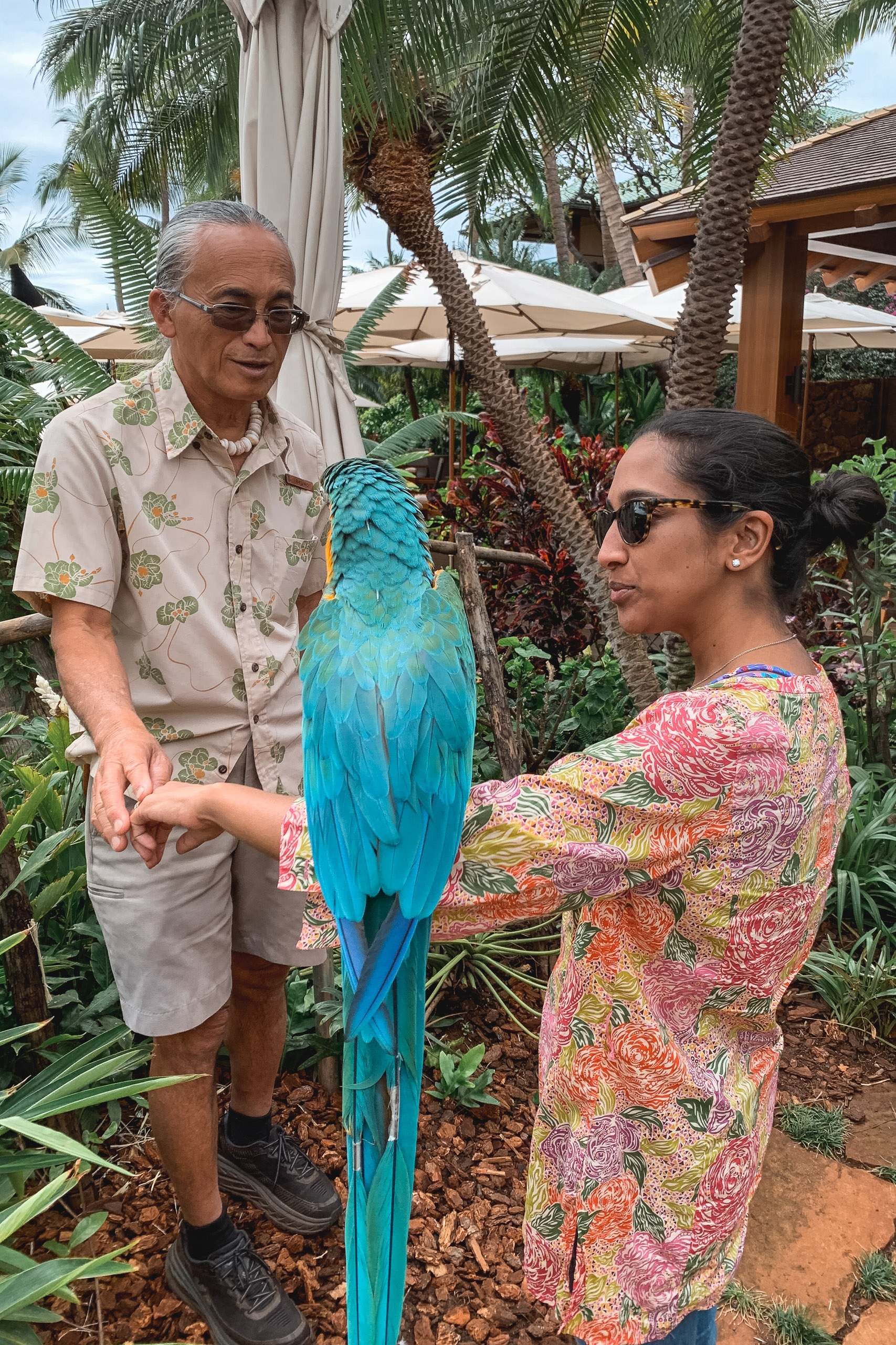 Two visitors hold a bright turquoise macaw in a tropical garden setting, surrounded by palm trees and lush vegetation beneath clear sky