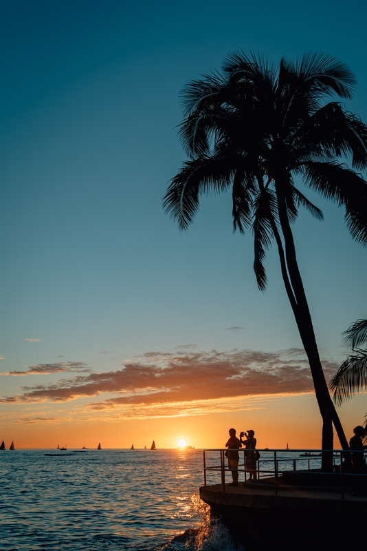Palm Trees and Sailboats at Sunset in Waikiki