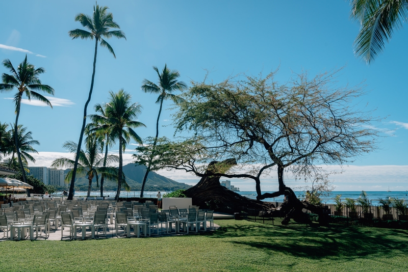 The Lawn at the Halekulani