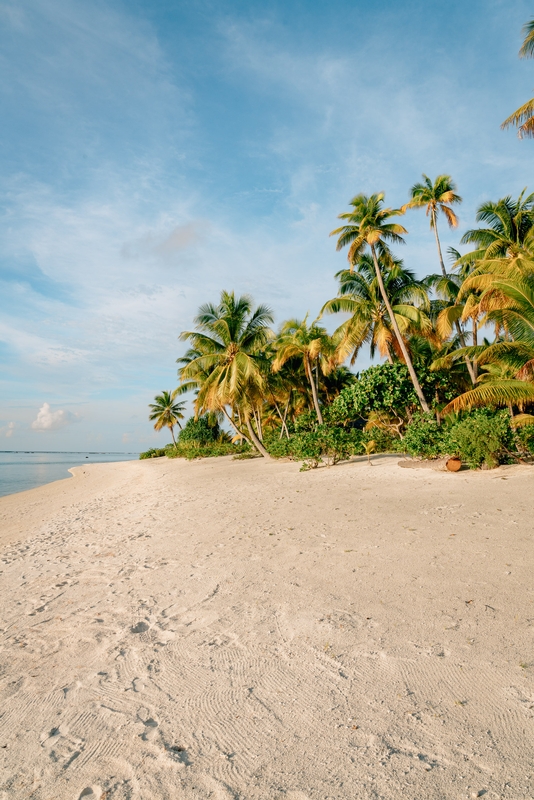 A Deserted Beach in the Late Afternoon