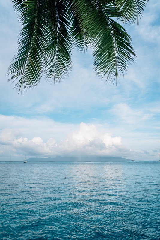 A Morning View of Morea from Tahiti