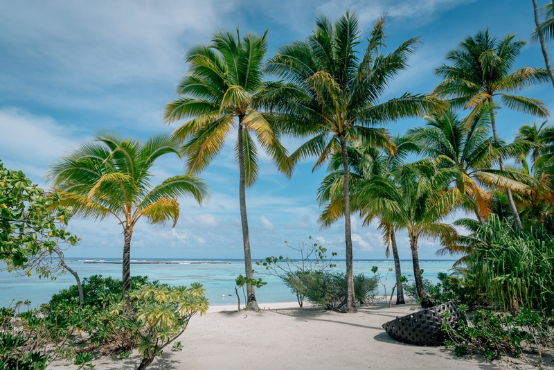 A Peak at our Little Slice of Beach