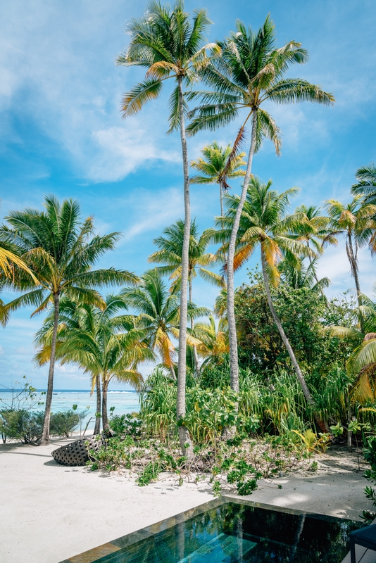 A Sunny Dat by the Pool on Tetiaroa