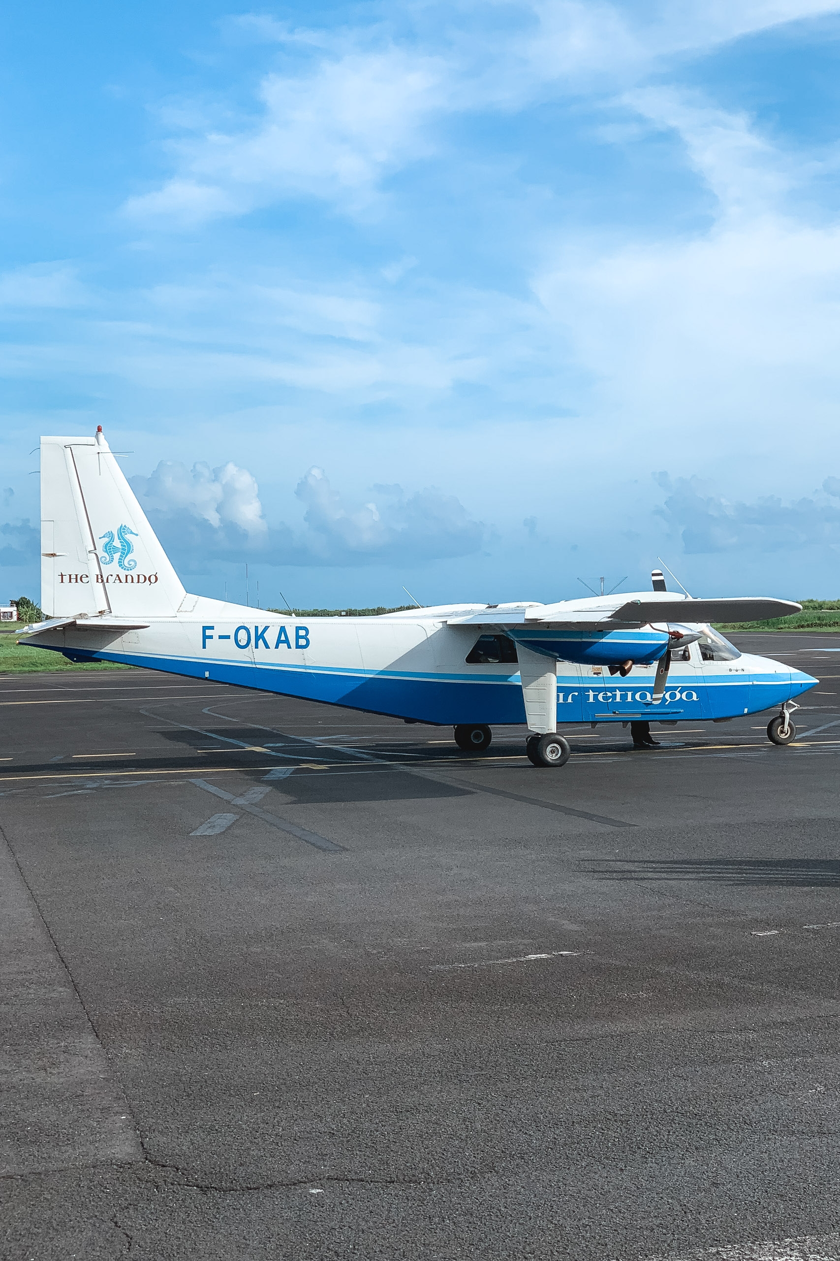 Small twin-engine aircraft with blue and white livery parked on tarmac under partly cloudy sky, featuring registration F-OKAB and "The Brando" branding on fuselage