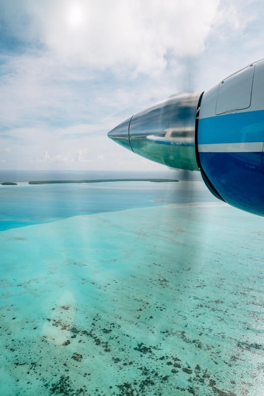 Flying Low over the Lagoon