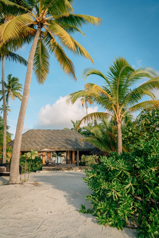 Looking Back toward the Vila