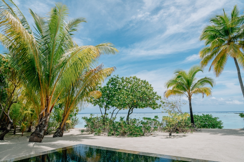 Overlooking the Pool