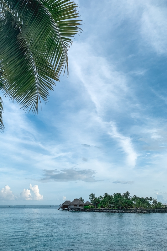 Palm-Framed Lagoon With Thatched Bungalows