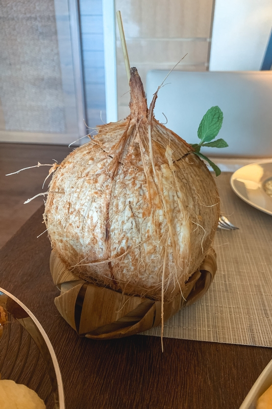 Sprouting Coconut on Wooden Table