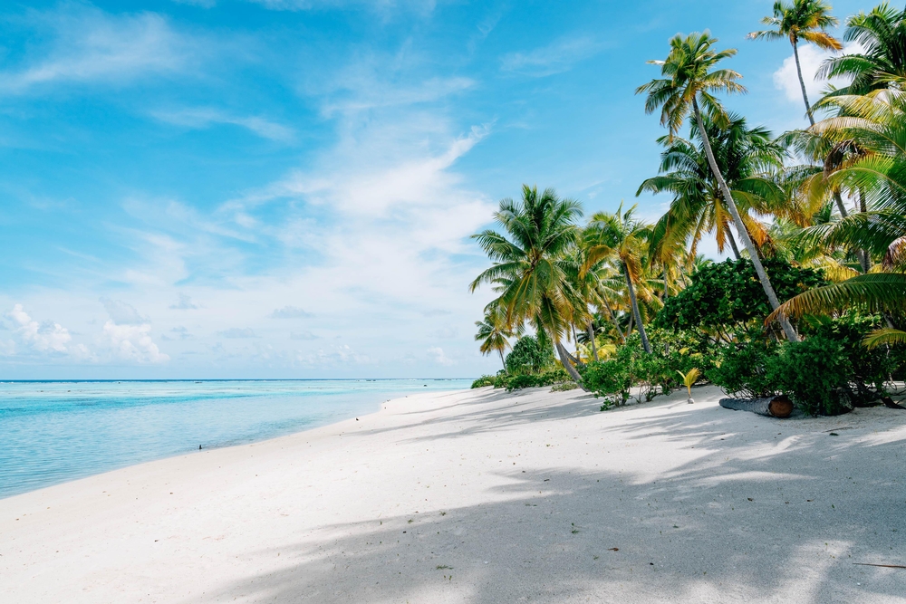 The Brando Villa Tour - 2019-0224-DSC04740VT
