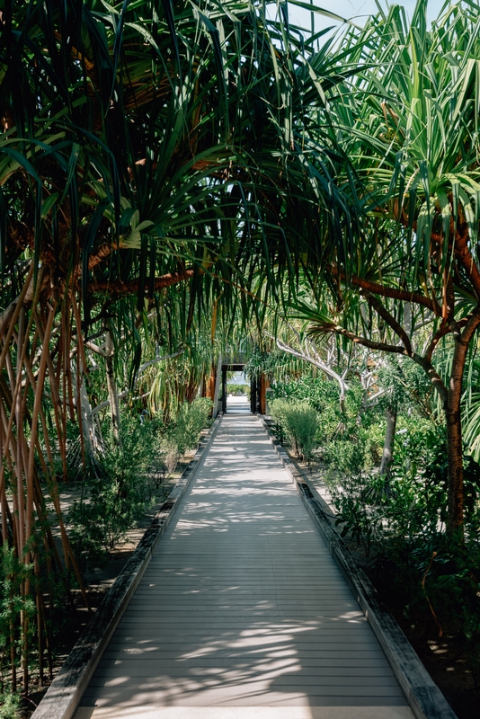 The Garden Path to the Concierge