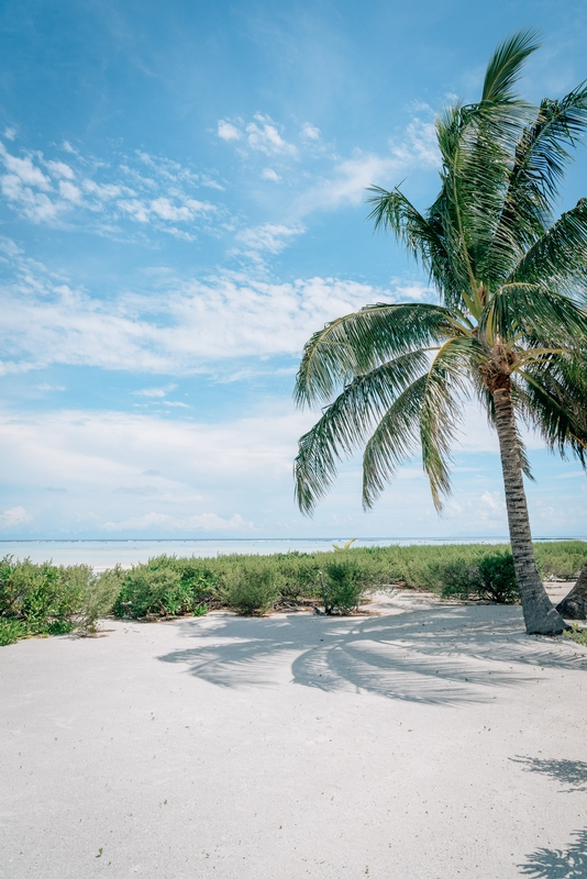 A Deserted Beach