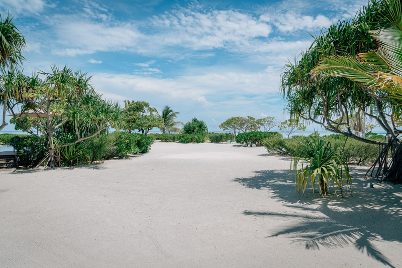 An Empty Stretch of Beach