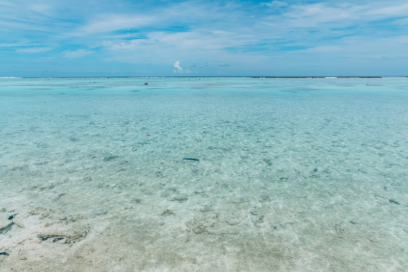 Clear Blue Waters