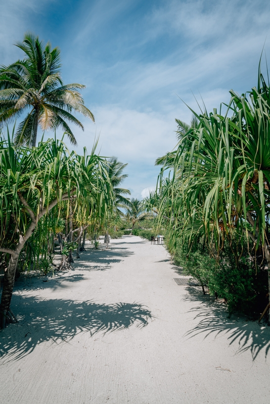 The Path to the Beach