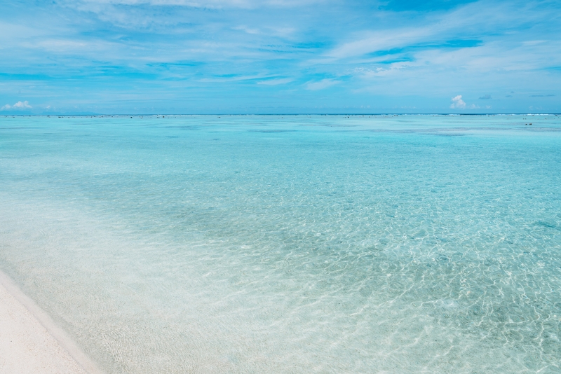 White Sands and Coral Seas