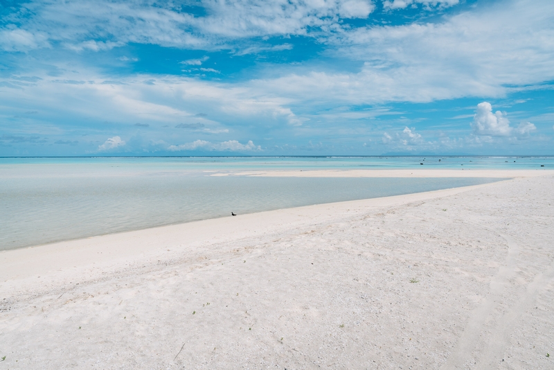 White Sands for Days