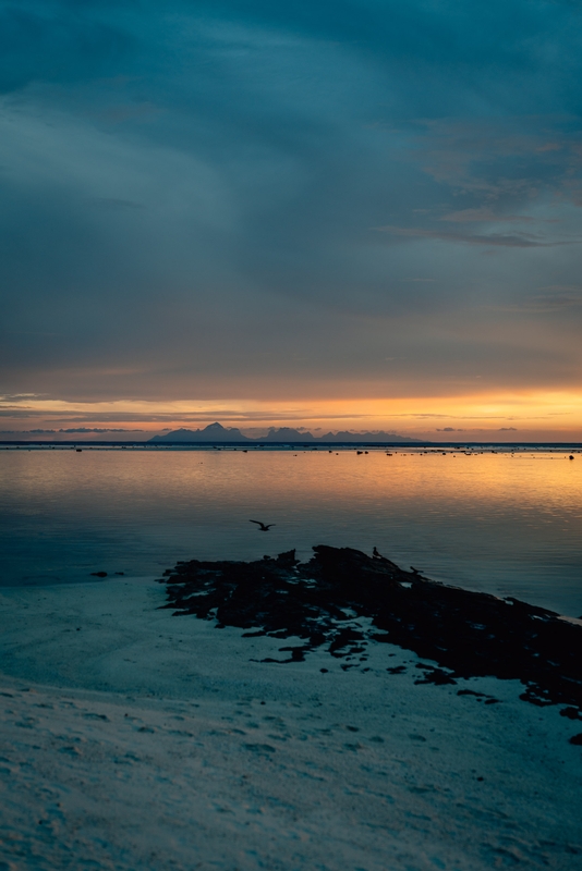 Moorea Island in the Distance