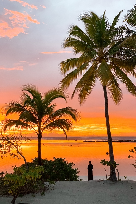 Solitary Figure Under Palm Trees at Sunset