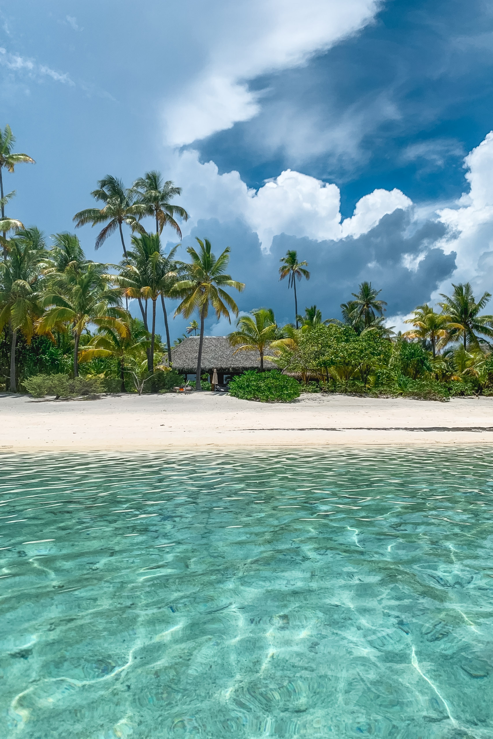 Tropical island beach with clear turquoise shallow water, white sand, palm trees, and a thatched-roof bungalow beneath a bright blue sky with white cumulus clouds