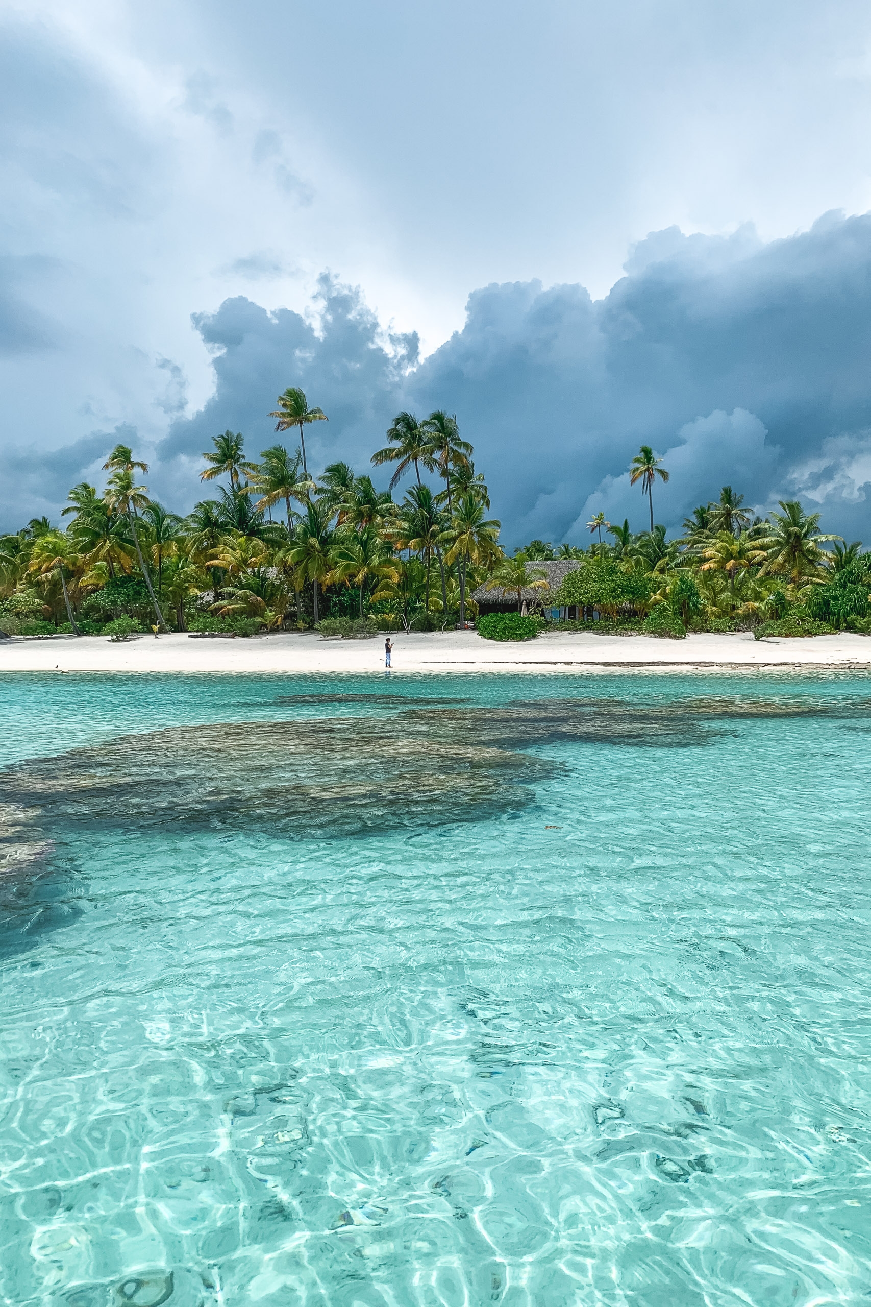 Turquoise lagoon waters with rippling sand patterns stretch toward a white-sand beach lined with coconut palms beneath towering cumulus clouds
