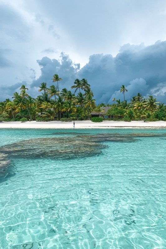 Tropical Lagoon With Palm-Lined Beach