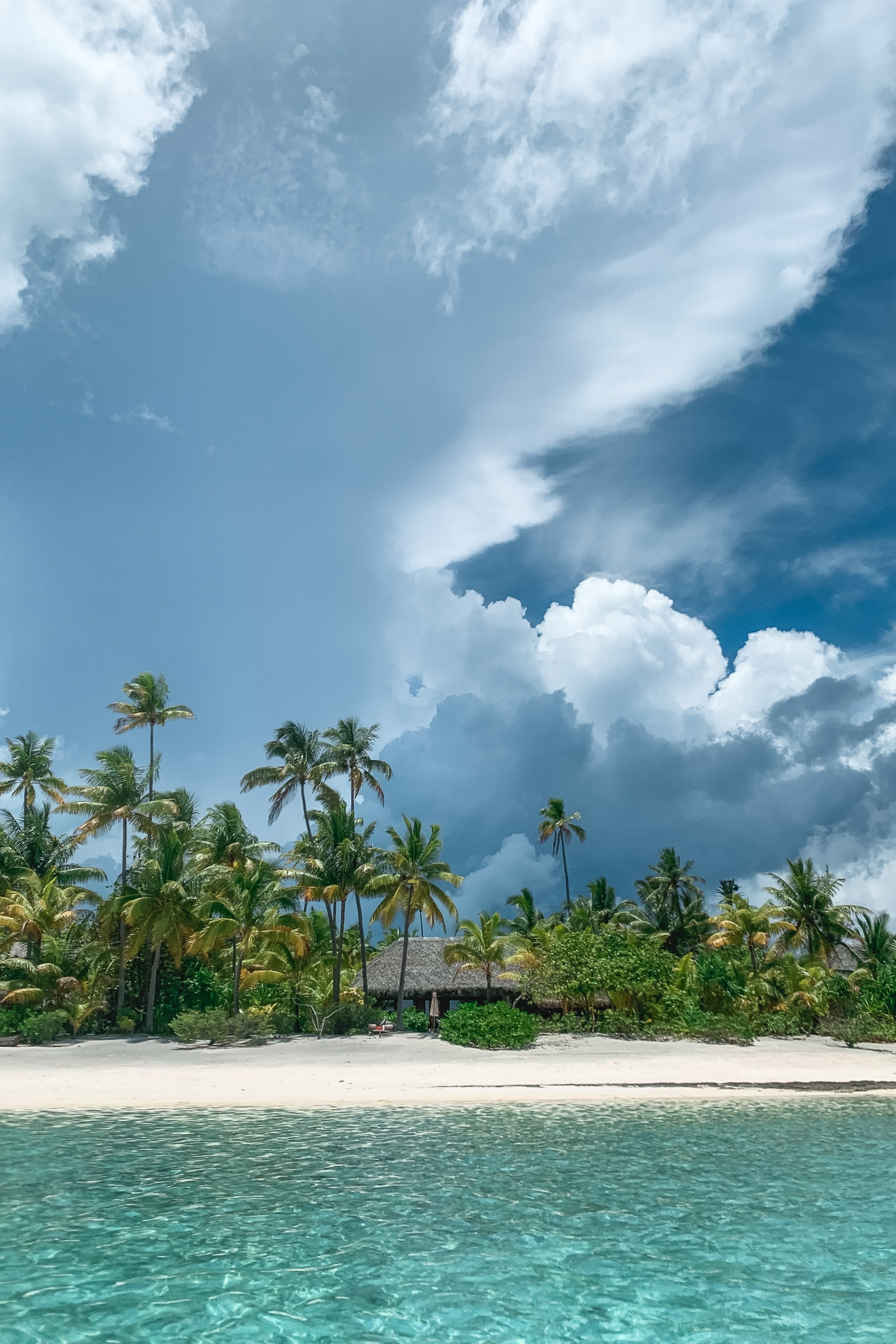 Turquoise lagoon water laps a pristine white sand beach lined with swaying palm trees beneath a dramatic blue sky dotted with billowing white clouds