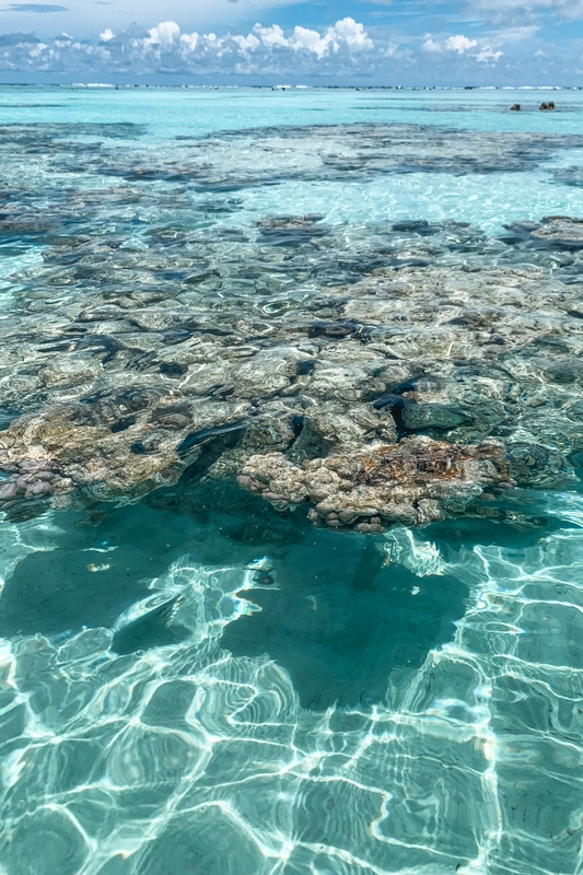 Turquoise Shallow Waters With Rocky Bottom