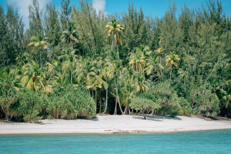 A Distant View of the Beach