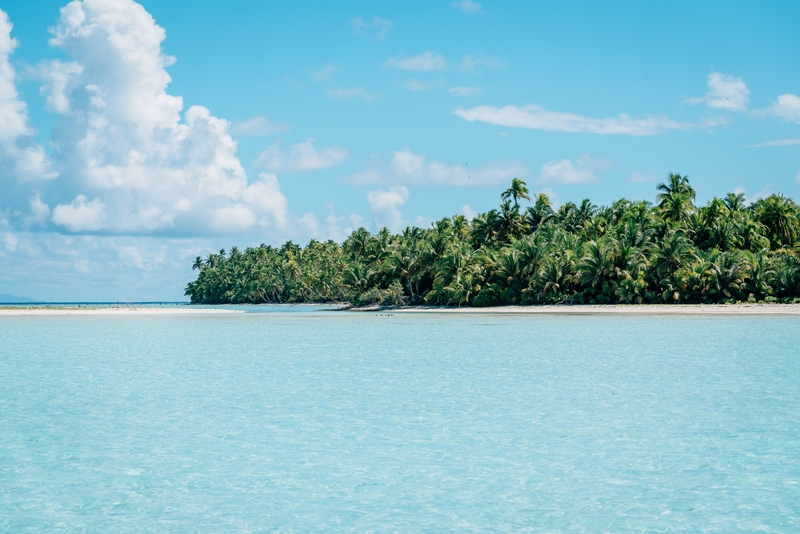 Approaching Bird Island Part II