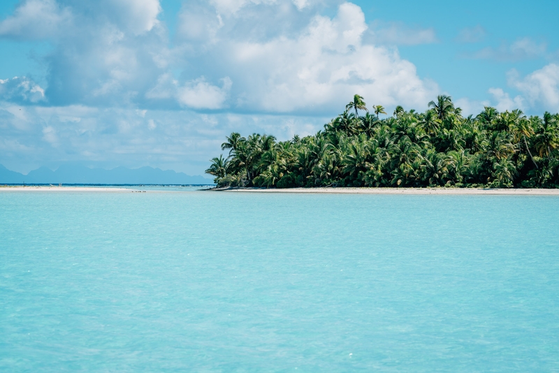 Approaching Bird Island