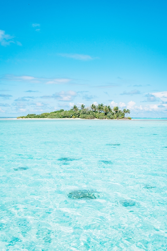 Bird Island from a Distance